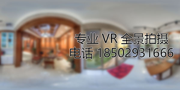 延长VR全景技术在未来可能的发展方向和应用领域?